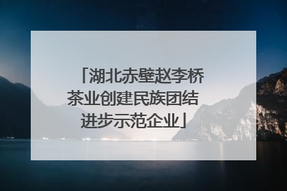 湖北赤壁赵李桥茶业创建民族团结进步示范企业