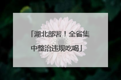 湖北部署！全省集中整治违规吃喝