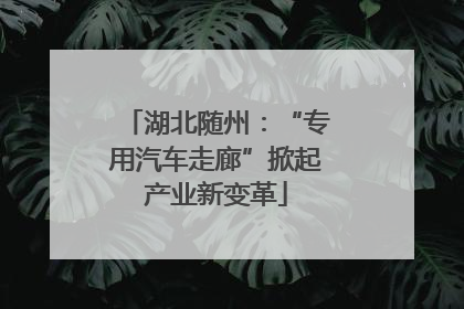 湖北随州：“专用汽车走廊”掀起产业新变革
