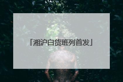 湘沪白货班列首发