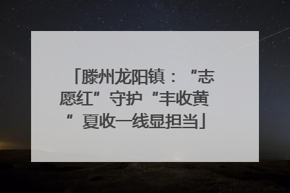 滕州龙阳镇：“志愿红”守护“丰收黄”夏收一线显担当