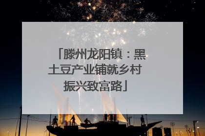 滕州龙阳镇：黑土豆产业铺就乡村振兴致富路