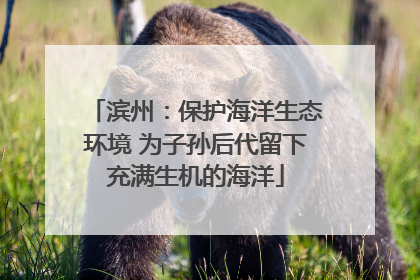 滨州：保护海洋生态环境 为子孙后代留下充满生机的海洋