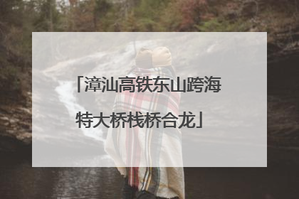 漳汕高铁东山跨海特大桥栈桥合龙
