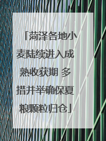 菏泽各地小麦陆续进入成熟收获期 多措并举确保夏粮颗粒归仓