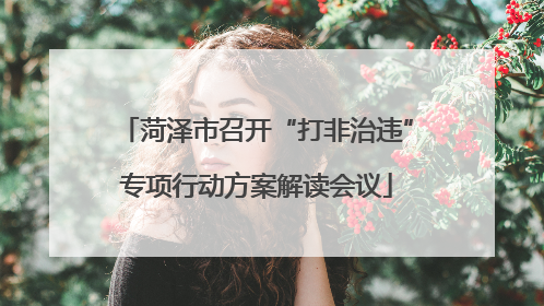 菏泽市召开“打非治违”专项行动方案解读会议