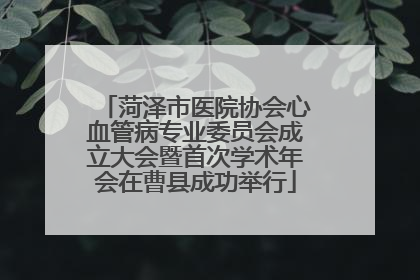 菏泽市医院协会心血管病专业委员会成立大会暨首次学术年会在曹县成功举行