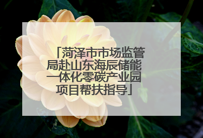 菏泽市市场监管局赴山东海辰储能一体化零碳产业园项目帮扶指导