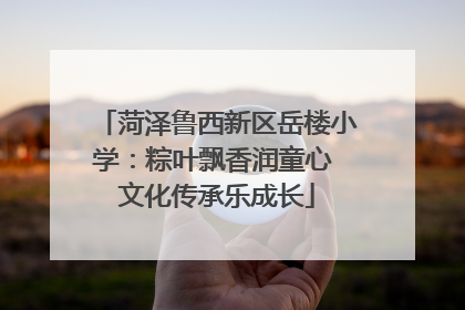 菏泽鲁西新区岳楼小学：粽叶飘香润童心 文化传承乐成长