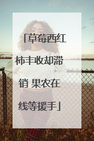 草莓西红柿丰收却滞销 果农在线等援手