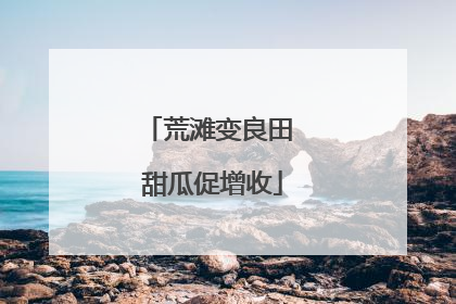 荒滩变良田 甜瓜促增收