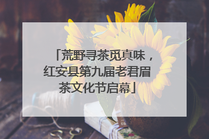 荒野寻茶觅真味，红安县第九届老君眉茶文化节启幕