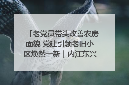 老党员带头改善农房面貌 党建引领老旧小区焕然一新｜内江东兴“红”在哪？④
