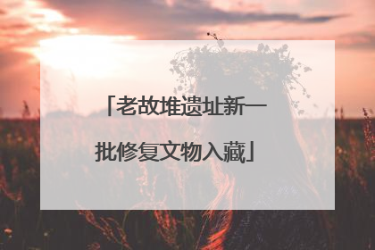 老故堆遗址新一批修复文物入藏