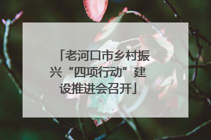 老河口市乡村振兴“四项行动”建设推进会召开