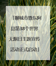 聊城市暨东阿县第38个世界无烟日主题宣传活动正式启动