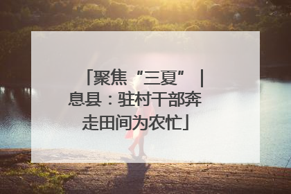 聚焦“三夏”｜息县：驻村干部奔走田间为农忙