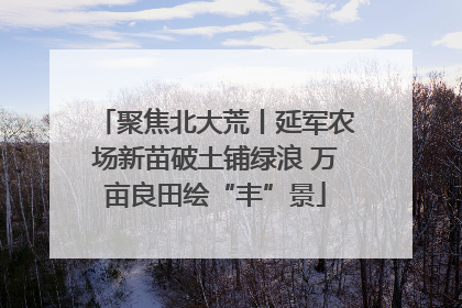 聚焦北大荒丨延军农场新苗破土铺绿浪 万亩良田绘“丰”景