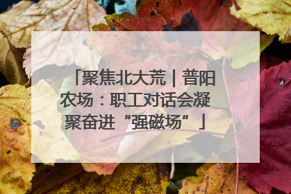 聚焦北大荒｜普阳农场：职工对话会凝聚奋进“强磁场”