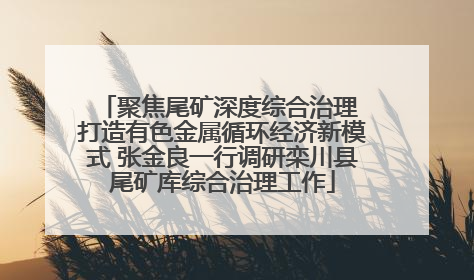 聚焦尾矿深度综合治理 打造有色金属循环经济新模式 张金良一行调研栾川县尾矿库综合治理工作