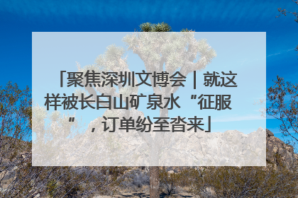 聚焦深圳文博会｜就这样被长白山矿泉水“征服”，订单纷至沓来