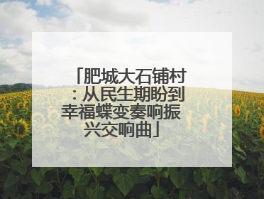 肥城大石铺村：从民生期盼到幸福蝶变奏响振兴交响曲