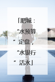 肥城：“水预算”定盘，“水银行”活水