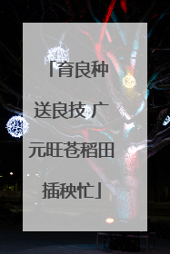 育良种 送良技 广元旺苍稻田插秧忙