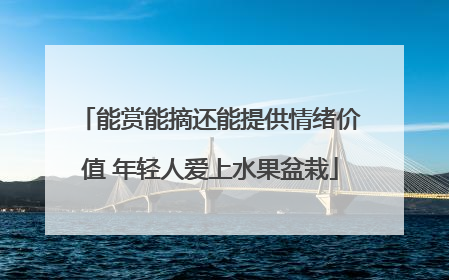 能赏能摘还能提供情绪价值 年轻人爱上水果盆栽