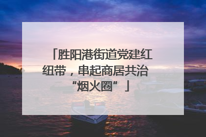 胜阳港街道党建红纽带，串起商居共治 “烟火圈”