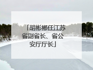 胡彬郴任江苏省副省长、省公安厅厅长