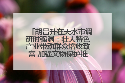 胡昌升在天水市调研时强调：壮大特色产业带动群众增收致富 加强文物保护推动文化创新发展