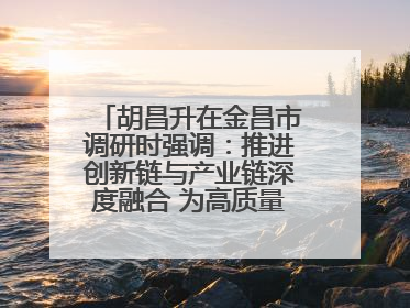 胡昌升在金昌市调研时强调：推进创新链与产业链深度融合 为高质量发展塑造新动能新优势