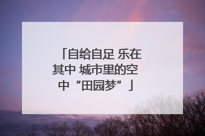 自给自足 乐在其中 城市里的空中“田园梦”