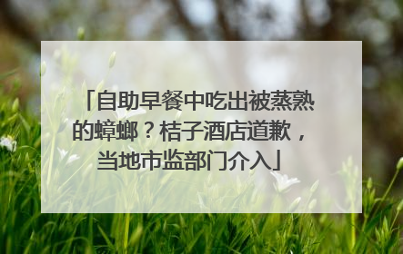 自助早餐中吃出被蒸熟的蟑螂？桔子酒店道歉，当地市监部门介入