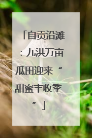 自贡沿滩：九洪万亩瓜田迎来“甜蜜丰收季”