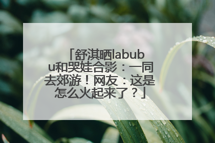 舒淇晒labubu和哭娃合影：一同去郊游！网友：这是怎么火起来了？