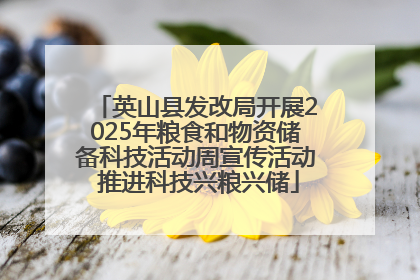 英山县发改局开展2025年粮食和物资储备科技活动周宣传活动 推进科技兴粮兴储