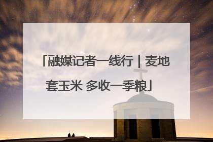 融媒记者一线行｜麦地套玉米 多收一季粮