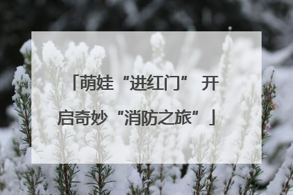 萌娃“进红门” 开启奇妙“消防之旅”