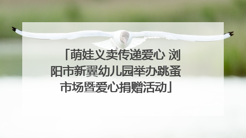 萌娃义卖传递爱心 浏阳市新翼幼儿园举办跳蚤市场暨爱心捐赠活动
