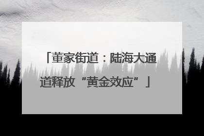 董家街道：陆海大通道释放“黄金效应”