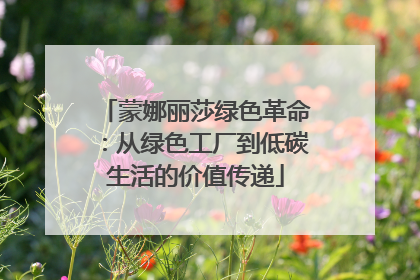 蒙娜丽莎绿色革命：从绿色工厂到低碳生活的价值传递