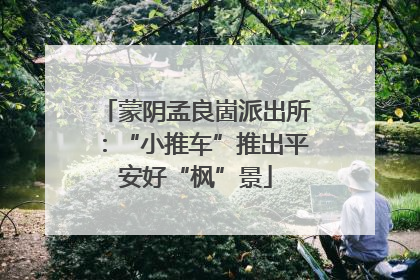 蒙阴孟良崮派出所：“小推车”推出平安好“枫”景