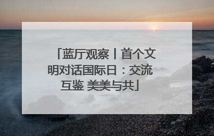 蓝厅观察丨首个文明对话国际日：交流互鉴 美美与共