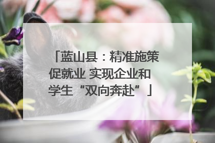 蓝山县：精准施策促就业 实现企业和学生“双向奔赴”