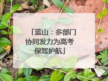 蓝山：多部门协同发力为高考保驾护航