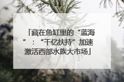 藏在鱼缸里的“蓝海”：“千亿扶持”加速激活西部水族大市场