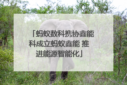 蚂蚁数科携协鑫能科成立蚂蚁鑫能 推进能源智能化