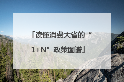 读懂消费大省的“1+N”政策图谱